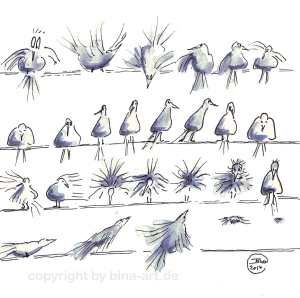 Sie rüttelt und schüttelt sich .........