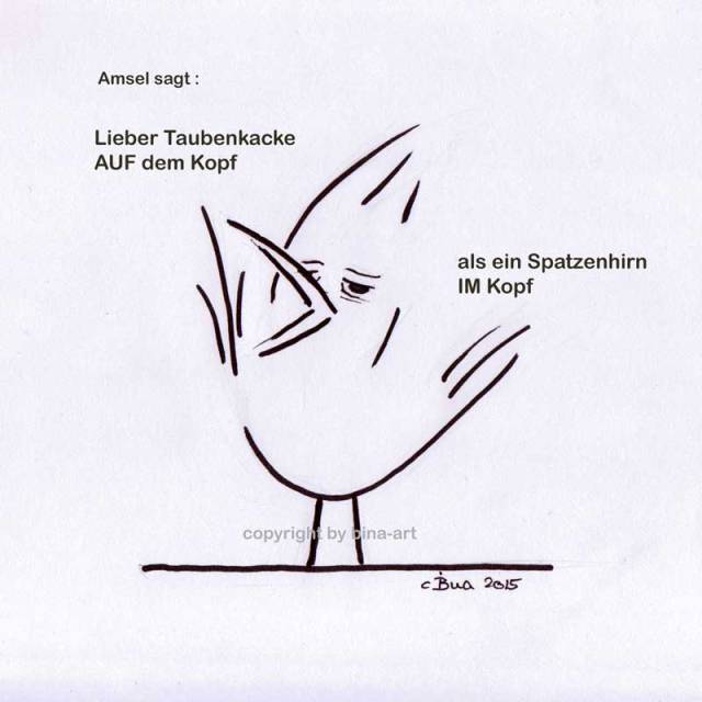 Amsel sagt . Lieber Taubenkacke auf dem Kopf, als ein Spatzenhirn im Kopf !