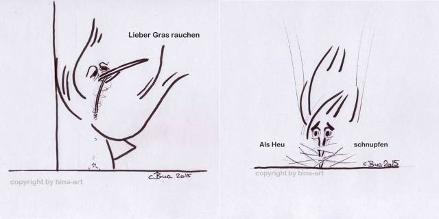 Amsel sagt : Lieber Gras rauchen , als Heu schnupfen