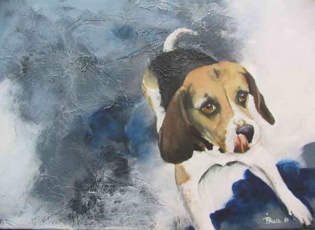 beaglefertig02-m