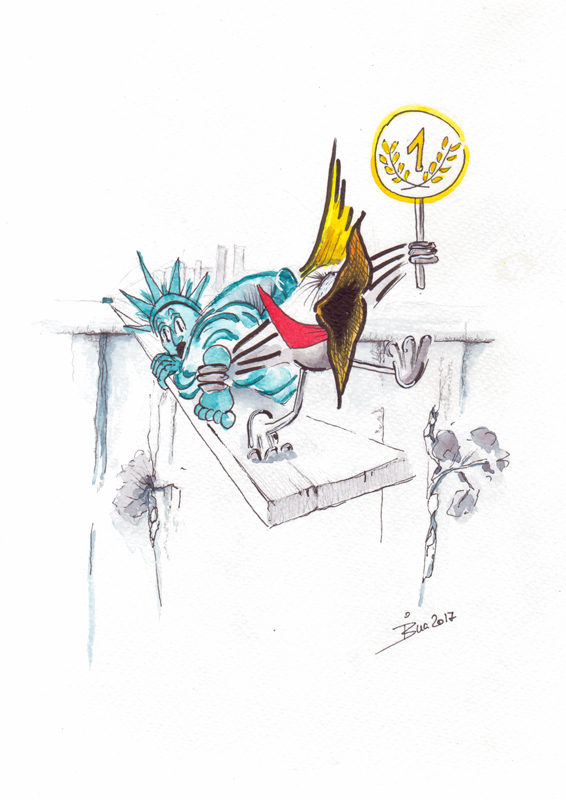 trumpelfirst-proport-web