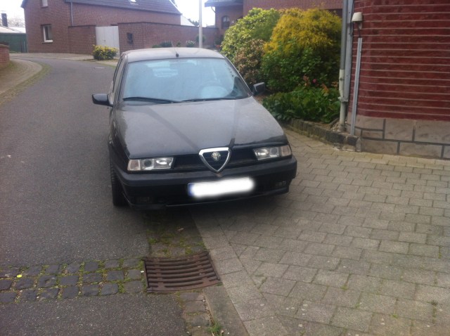 alfa155